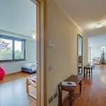 La Buca - - Elegant Apartment, 150 Sq M - Private Covered Parking - Private Terrace - Just 1500 Mt From Downtown *